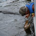 OTRA2014_1601 (September 03, 2014)